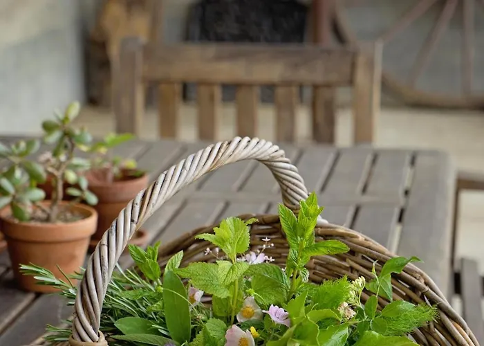 Pure Garderes Monlezun