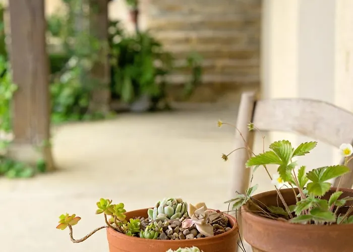 Pure Garderes * Monlezun