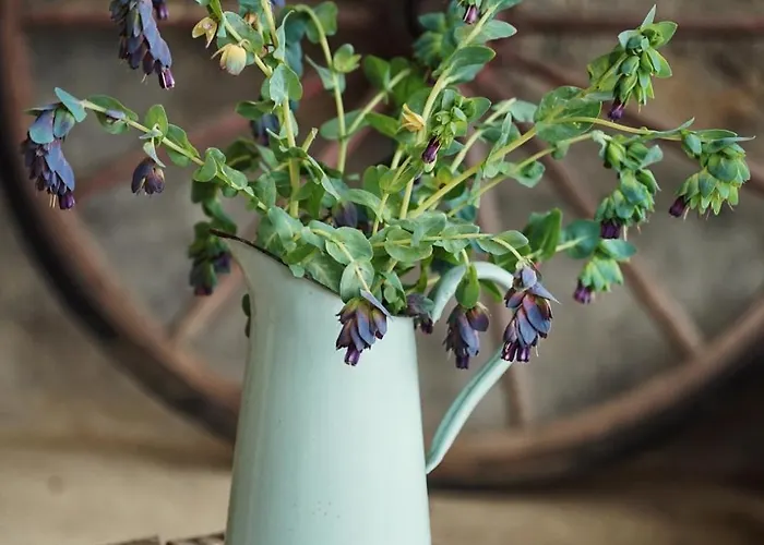 Pure Garderes 別荘 Monlezun