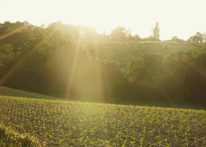 別荘 Pure Garderes *