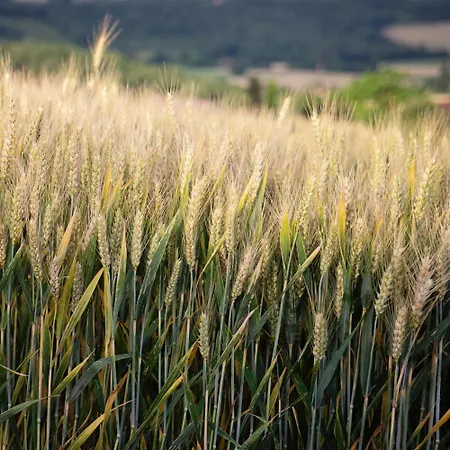 Pure Gardères Casa vacanze Monlezun