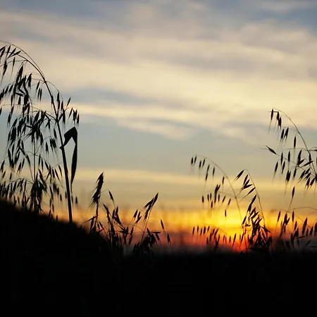 Casa vacanze Pure Gardères Monlezun