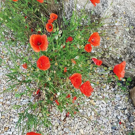 Pure Gardères Monlezun