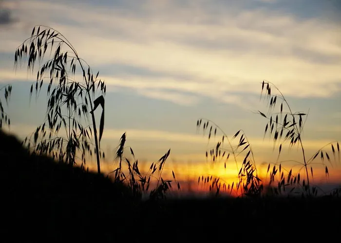 בית נופש Pure Garderes Monlezun