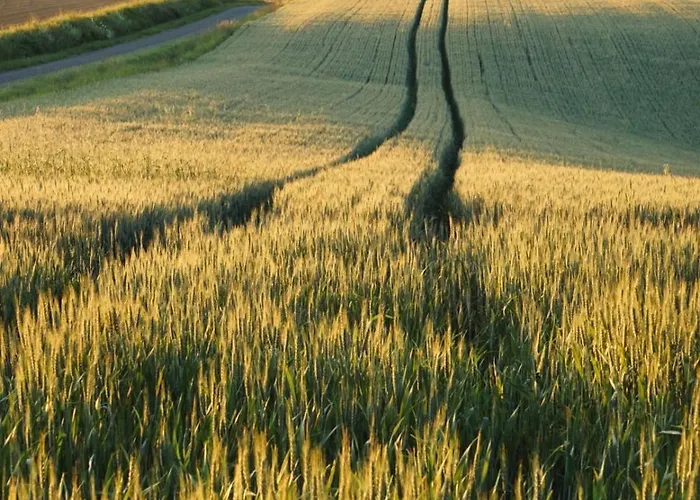 Pure Garderes * Monlezun